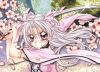 sakura07.jpg
