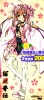 sakura15.jpg