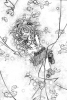 sdc_vol02_ch09_05.jpg